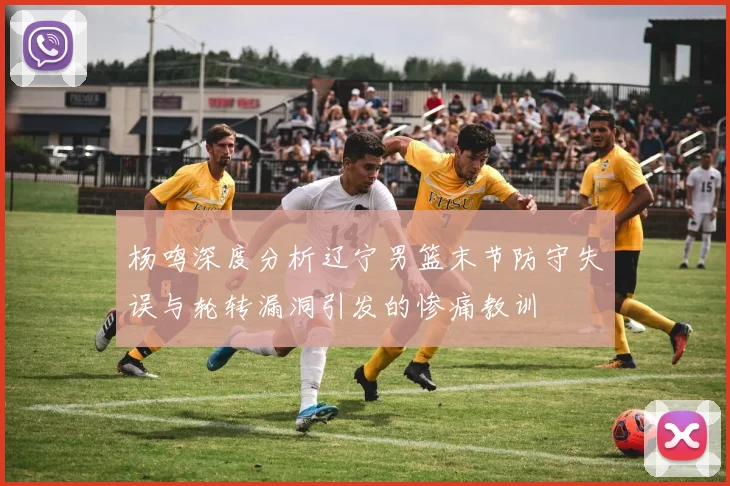 杨鸣深度分析辽宁男篮末节防守失误与轮转漏洞引发的惨痛教训